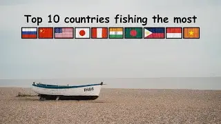 TOP 10 COUNTRIES FISHING THE MOST 🎣