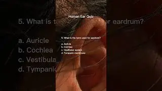 Human Ear Quiz #quiz #science #anatomy #education