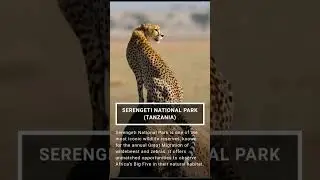 International Heritage day 2025: 10 UNESCO - Listed Sites