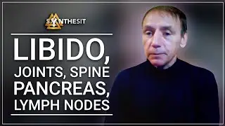 Libido, joints, spine, pancreas, lymph nodes. 5 months intake of Synthesit! Review No.100.