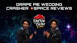 GRAPE PIE WEDDING CRASHER 💥SPACE REVIEWS