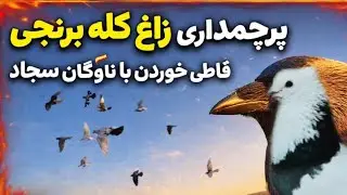 وحشت کبوتران و پرش ناوگان!خراب کردن چاشنی بازی سجاد توسط آیسان اسلامی!پرچمداری زاغ کله برنجی مشهد 