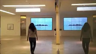 Artists' Network Gallery @ RBC WaterPark Place: Jessica Lin 2019