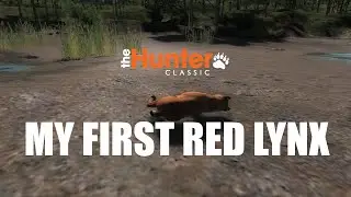 theHunter - My first Red Lynx / Logger's Point