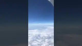 Help, I am being taken