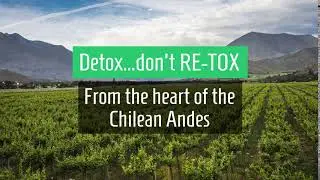 DetoxRetox english fb