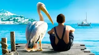 Boy saved a little chick, but it grew to HUGE SIZES \ movie recap