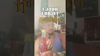 1 JOUR 1 OBJET #harrypotter #potterhead #collection