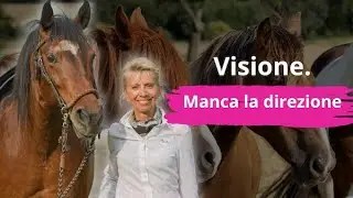 Dalla Visione alla Missione