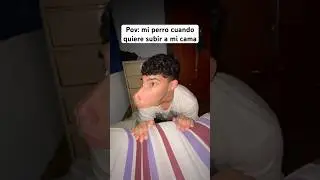 Cuando mi perro quiere subir a la cama IG: elnachetoo #argentina #humor #comedia #sketch #perro