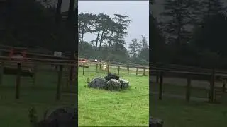 Margam Park 2 Wales UK