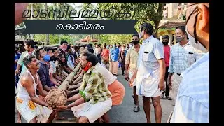 മാടമ്പിലമ്മയ്ക്ക്  കൊടിമരം |Madampil Temple Kodimaram 2021|