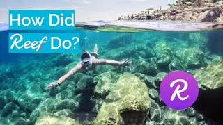 Crypto Update 🔥 How Did Reef Finance [REEF] Develop? (2021)