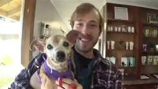 Rockstar Omar Senior Shelter Dog Update!