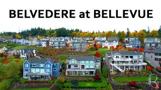 Belvedere Bellevue Tour - ЛУЧШИЙ район в Бельвю