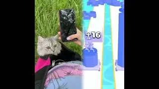 ЧЕМ ЗАКОНЧИЛАСЬ ПЕРВАЯ ПРОГУЛКА С НИКОЙ?!