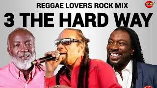 REGGAE CULTURE LOVERS ROCK MIX 2026,MIKEY SPICE,GLEN WASHINGTON,FREDDIE MCGREGOR