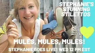 MULES, MULES, MULES!  STEPHANIE GOES LIVE! (WHICH MULES? YOU DECIDE!)