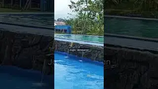 kolam renang+outbound Purwokerto #shorts #purwokerto #wisatapurwokerto #outbound