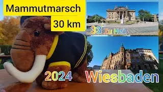 Mammutmarsch in Wiesbaden  2024  ,  30 km bei 33 Grad Zu Heiß.