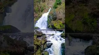 The Magical Triberg Waterfall 🌊✨ | 🇩🇪 Germany&rsquo;s Highest Waterfall!