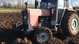 Massey Ferguson 265 lik Çamurda  tarla Sürüm (cigerpower)