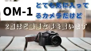 OM-1 マイクロフォーサーズのダメな点を誰も言わないので2つほど本音で言います NO583