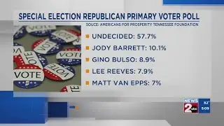 Special election Republican primary voter poll in TN