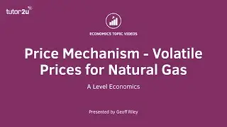 Price Mechanism - Volatile Prices for Natural Gas