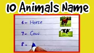 10 Animals Name in English | Animals Names List for Kids