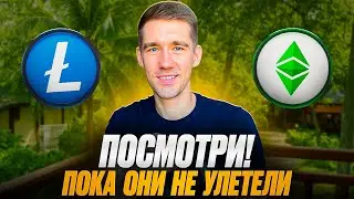 Эти Альткоины могут повторить рост ZCASH !?