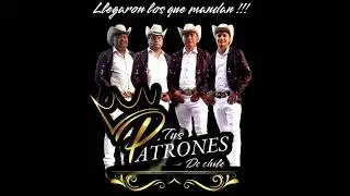 Tus Patrones De Chile EN VIVO - MIX a poco - semana llanina 2024