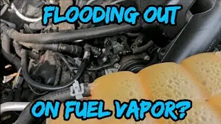 Stalling After Fill Up? What Are Fuel Trims? Here's Some Answers! Ford F150