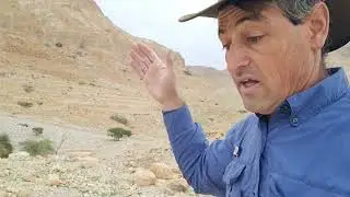Ein Gedi: The Desert’s Ancient Sanctuary
