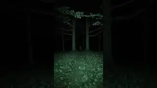 Don&rsquo;t Blink! #ForestHorror #SilentTerror #POVHorror #ShortFear #8SecHorror