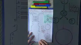 ملخص المضاعفة / la réplication