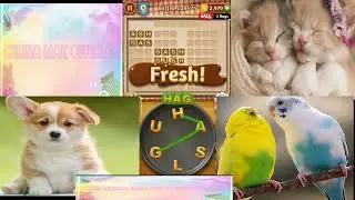 {Word Cookies}Boundless - Coffee Cake - Levels 1 to 20 (celina mak official)
