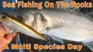 Sea fishing on the rocks- a multi species day.  Summer 2019