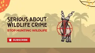 |overhunting definition|overhunting definition in science|biology lectures