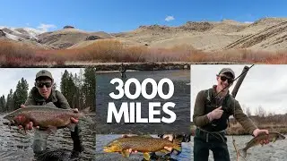 (TRAILER) Road Trip to Montana: Did Some Fly Fishing. 3000 MILES- Brown & Rainbow Trout, Whitefish