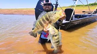 Mais um 60up pra conta msm com &aacute;gua turva consegui achar esse casal!!!