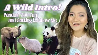 A Wild Intro! Pandas, Zoo Fun, And Getting to Know Me!