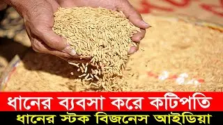 ধানের স্টক ব্যবসা / Rice stock trading.