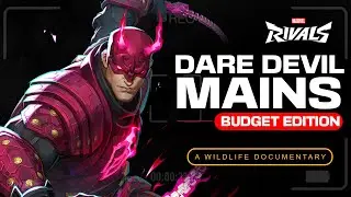 Marvel Rivals Iif it was a Nature Documentary : Daredevil Budget edition