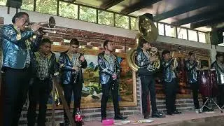 La mera mera de Michoacán 