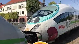 Meine heutige Ausbeute aus Schwetzingen