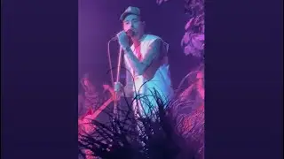 Zayn Malik ~ Lied To ~ 12/09/2024