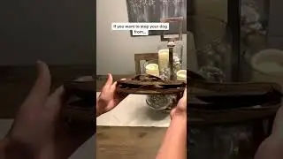 How to stop your dog from destroying your house #LearnOnTikTok #TikTokPartner #Gottatraintha...