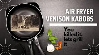 Air Fryer Venison Kabobs