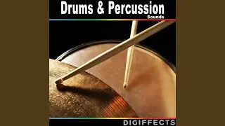 Timpani Version 2